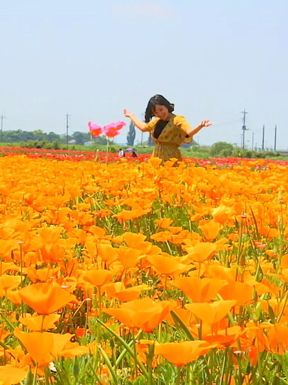 「お花畑」｜「LOWRYS FARMのアイテム（ワンピース、イエロー系）」を使った、sssさん（レディース・152cm）の春コーディネートの1枚目の写真