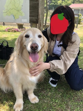 inuさんのコーディネート