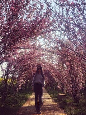 恬萝HANA酱さんのコーディネート