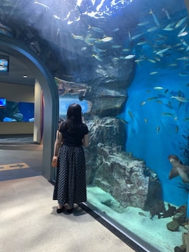 りささんのコーディネート