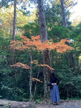 りささんのコーディネート