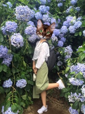 MLさんのコーディネート