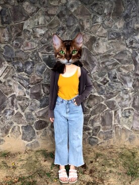 MLさんのコーディネート