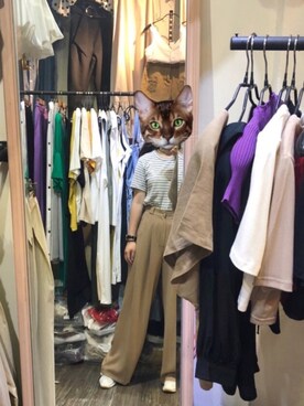 MLさんのコーディネート