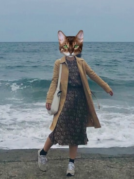 MLさんのコーディネート