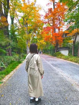 ななみさんのコーディネート