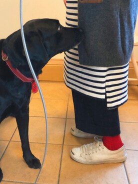 memekkoさんのコーディネート