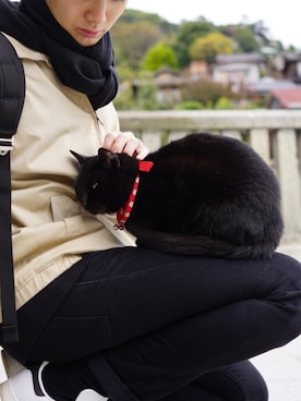 かいとさん（メンズ・171cm）の秋コーディネート