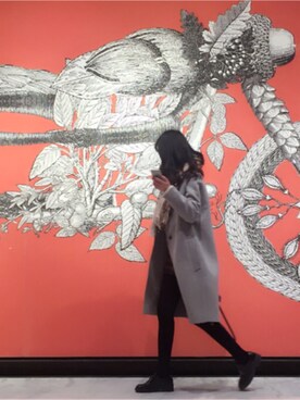 小行星072号さんのコーディネート