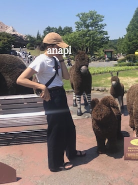 anapiさんのコーディネート