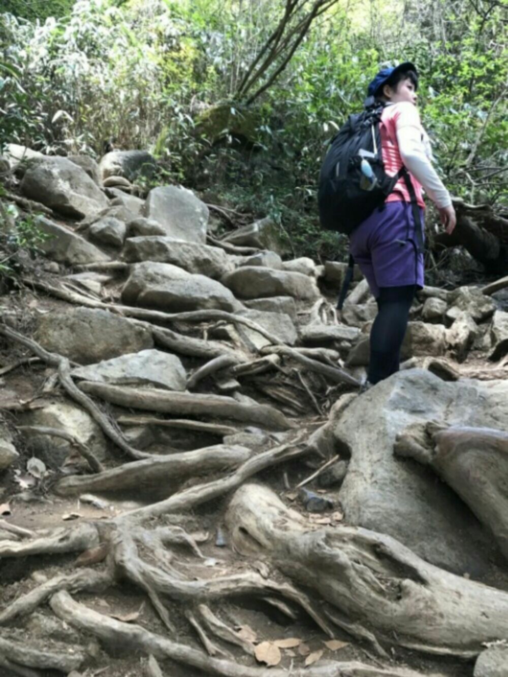 「激安コーデ、トレッキングシューズ、山、山登りスタイル、山頂怖い、登山、人生初、足すくむ」｜「足がすくむ山頂のアイテム（その他、グリーン系）」を使った、恋するラララさん（レディース・152cm）の春コーディネートの1枚目の写真