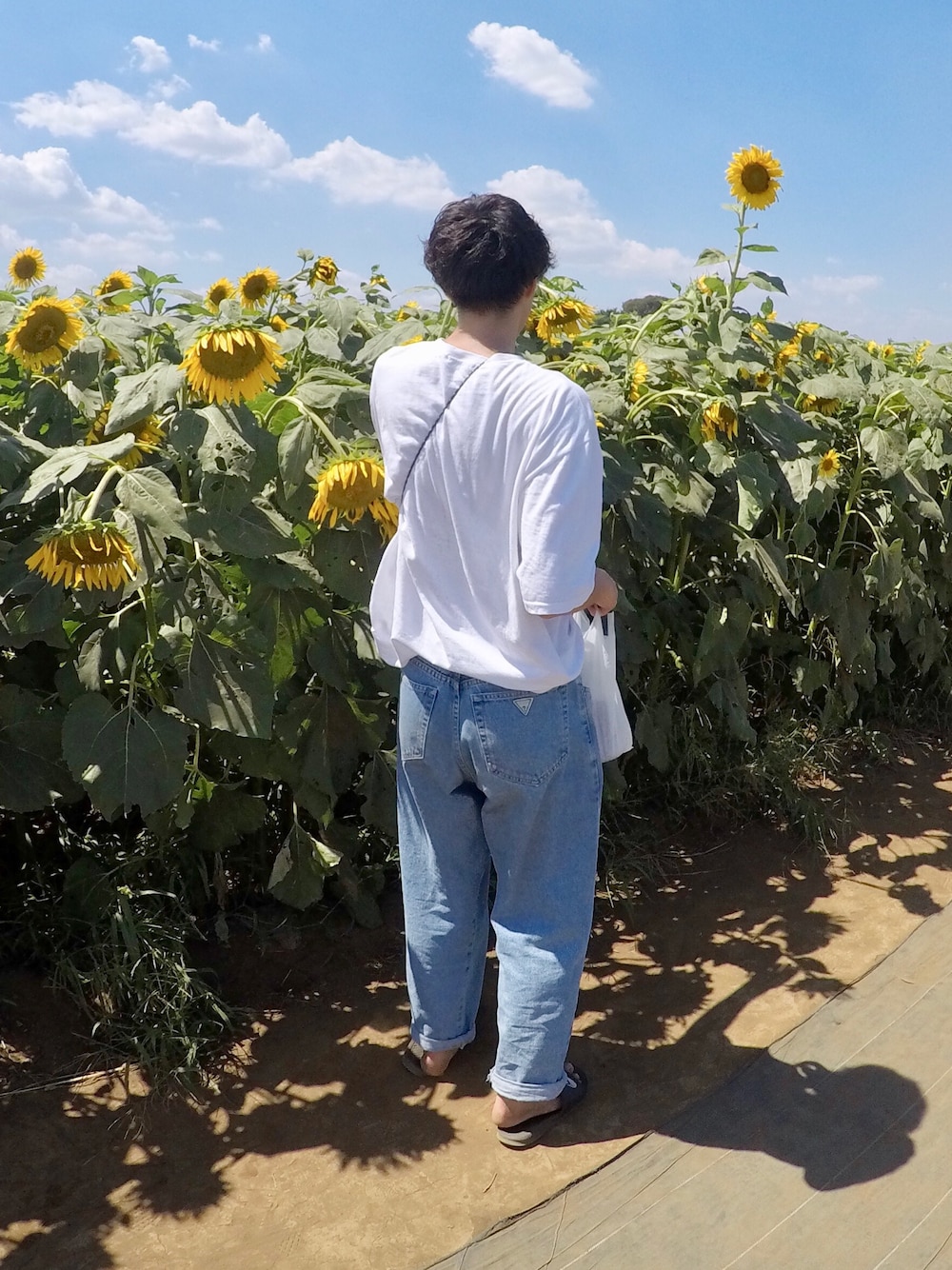 「ひまわり畑、夏コーデ、腕時計ください笑、デニムパンツ、シンプルコーデ」｜「BALENCIAGAのBalenciaga - Cocoon チェストロゴ Tシャツ - women - コットン - M（Tシャツ/カットソー、ホワイト系）」を使った、Hattyさん（メンズ・178cm）の夏コーディネートの1枚目の写真