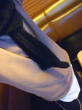 「RAGEBLUE（レイジブルー）のアイテム（その他トップス）」を使った、ryouichiさん（メンズ・183cm）の冬コーディネート