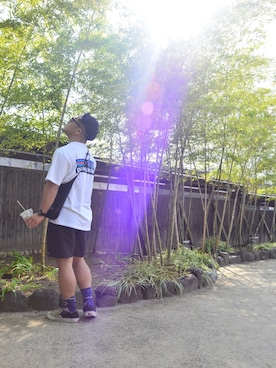 teさんのコーディネート