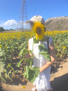 ワンピースを使った ひまわり畑 のレディース人気ファッションコーディネート Wear