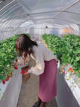 kikiさんのコーディネート