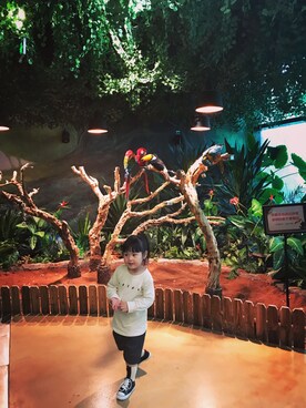 vianrikaさんのコーディネート