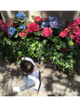 小猫miuさんのコーディネート