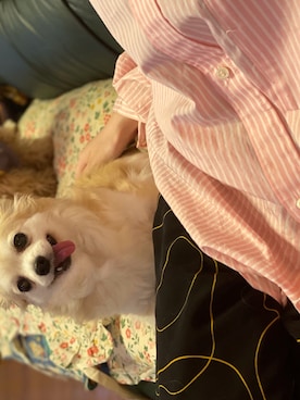 yumiさん（レディース・160cm）の春コーディネート