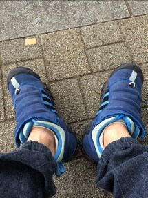 adidas | badlander low 2001(スニーカー)