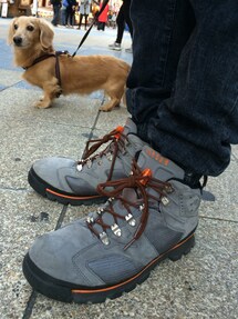 NIKE | NIKE AIR JORDAN 6 boots 2006
cool grey/orange blaze
303897-002(スニーカー)