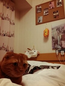 Y'sフォーリビング | リーフブランケット(ブランケット)