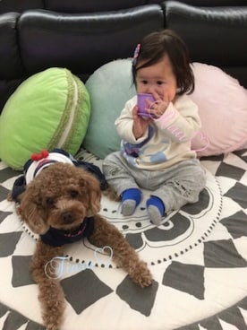 「babygap」｜「アイテム（スウェット）」を使った、♡Ruu♡さん（キッズ・70cm）の冬コーディネート