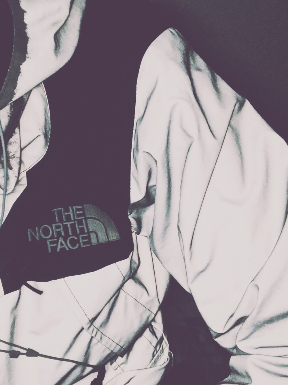 Supreme のマウンテンパーカー（シルバー系）を使った人気ファッション