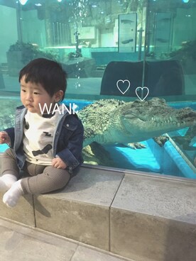 may.kさんのコーディネート