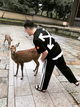 louis さんのコーディネート