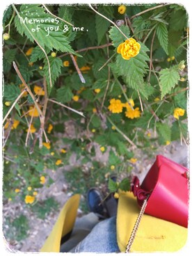 にゃんこ先生さんのコーディネート