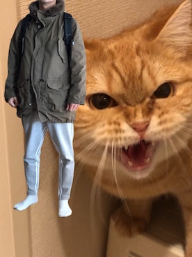 ネオちゃんさんのコーディネート