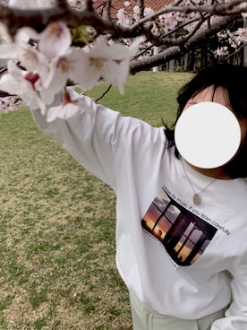 aoさんのコーディネート