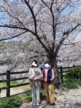 aoさんのコーディネート