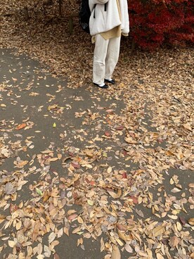 「Mayree（メイリー）のアイテム（ニット/セーター）」を使った、はなさん（レディース・158cm）の冬コーディネート