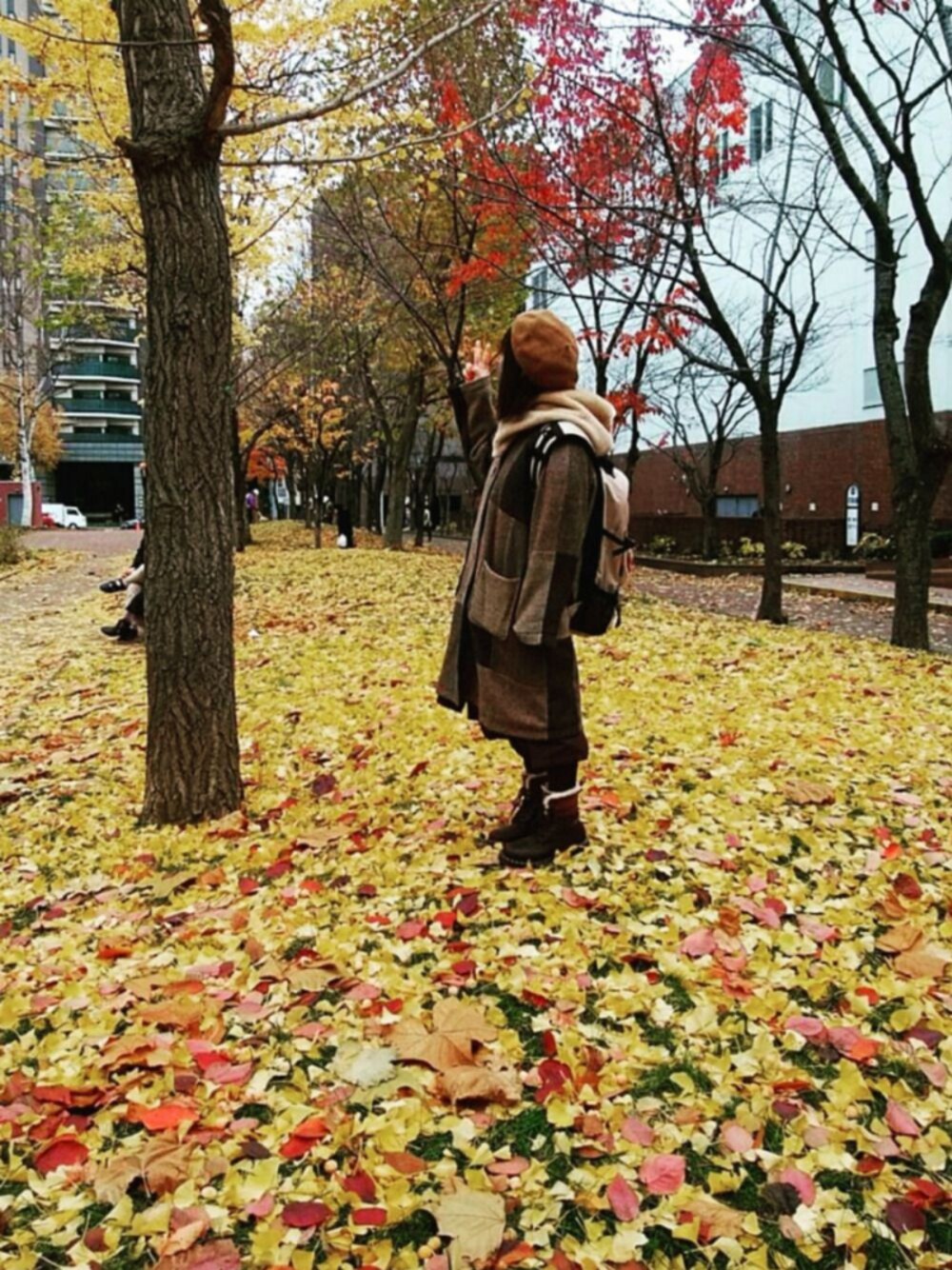 PAR ICI KLASSISK（パーリッシィクラシスク）の「ハリスツィード