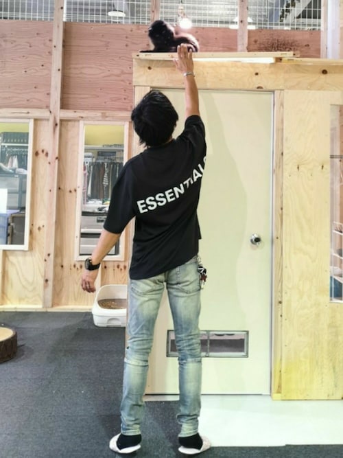 ゴリラになりたい Fog Essentialsのtシャツ カットソーを使ったコーディネート Wear