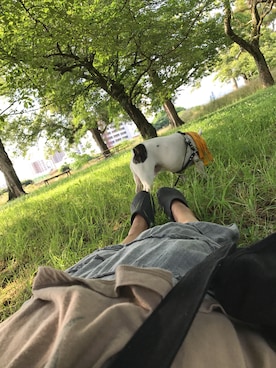 alexandre ishiiさんのコーディネート