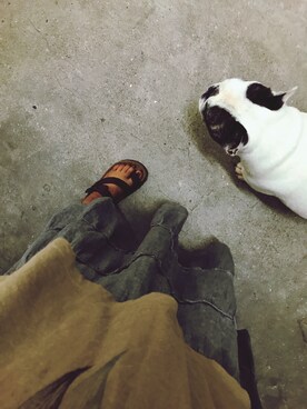 alexandre ishiiさんのコーディネート