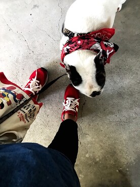 alexandre ishiiさんのコーディネート