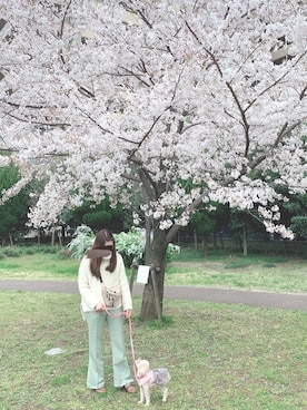 マさんのコーディネート