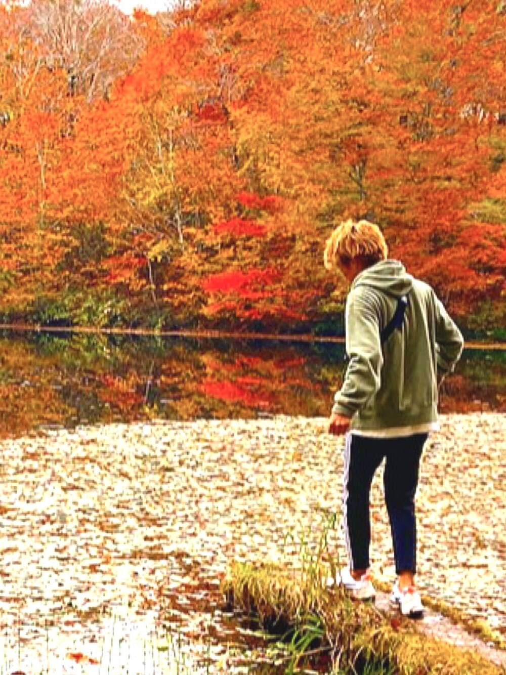 「秋のコーデ、紅葉、ナイキ、adidas、GU、パーカー」｜「GUのアイテム（パーカー、グリーン系）」を使った、りさん（メンズ・173cm）の秋コーディネートの1枚目の写真