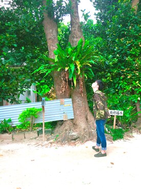 kaito.aさんのコーディネート