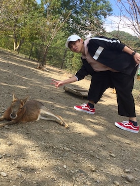 ダイキさんのコーディネート