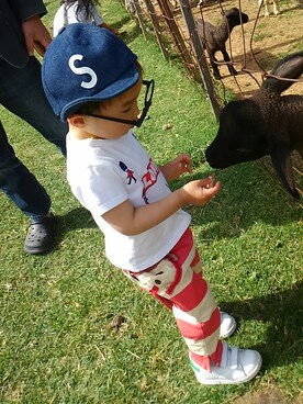 たろうさん（キッズ・80cm）の春コーディネート