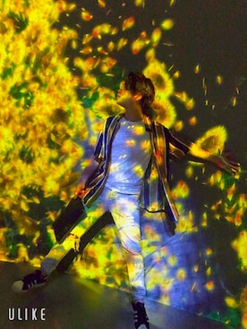 Pontanixさんのコーディネート