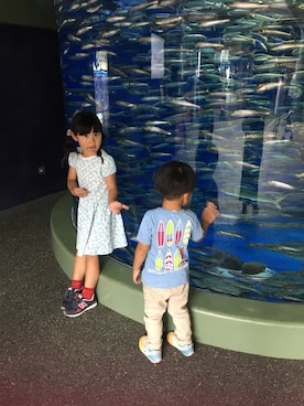 「水族館」｜「アイテム（その他）」を使った、りーとよーさん（キッズ・120cm）の夏コーディネート