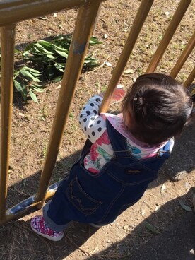 chonteraさんのコーディネート