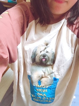 「Candy Stripper（キャンディストリッパー）のアイテム（Tシャツ/カットソー、ブラウン系）」を使った、ぴよさん（レディース・164cm）の冬コーディネート