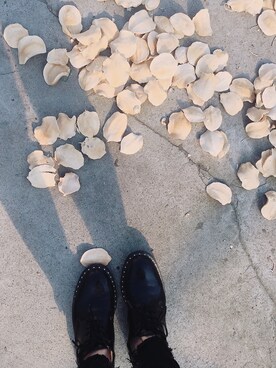 左左さんのコーディネート